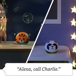Echo Dot (4th generation) Kids or Adult