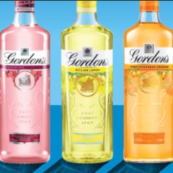 WIN THREE BOTTLES OF GORDONS GIN - Buy 5+Tickets for just £0.99p each